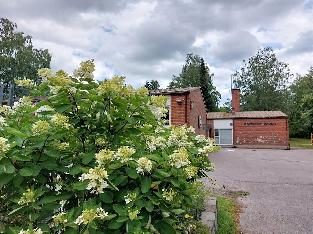 Klasslärare - Lapinjärven kunta